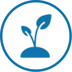 Plant Icon