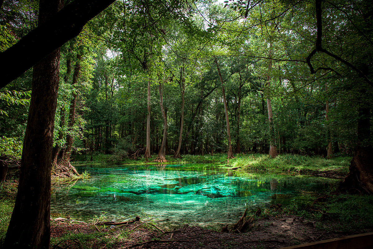 Florida Springs – Working to protect Florida's springs through sound  science and education