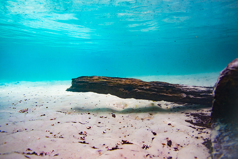 Underwater at the springs