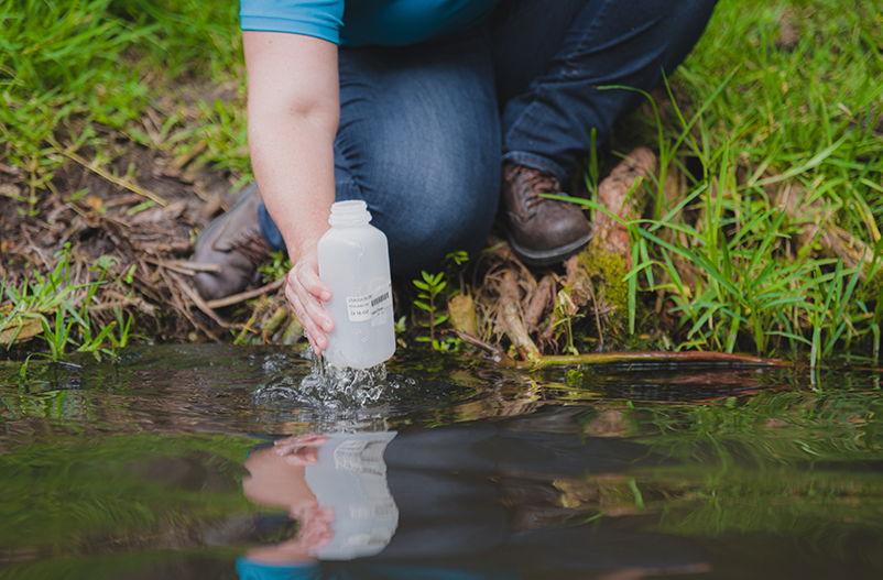 Testing Water at Suwannee River Springs